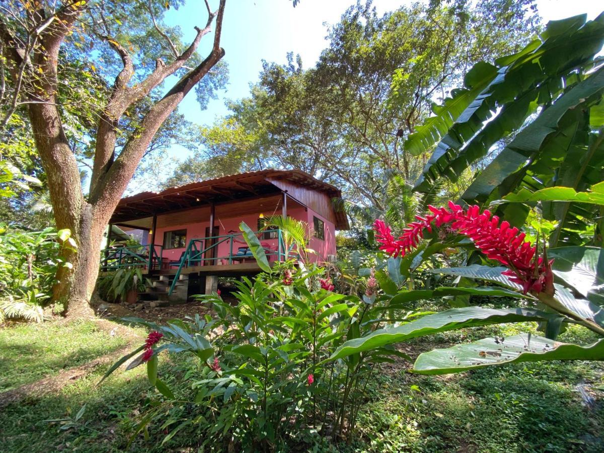 Casa Colores مونتيزوما المظهر الخارجي الصورة