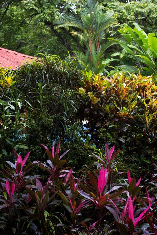 Casa Colores مونتيزوما المظهر الخارجي الصورة