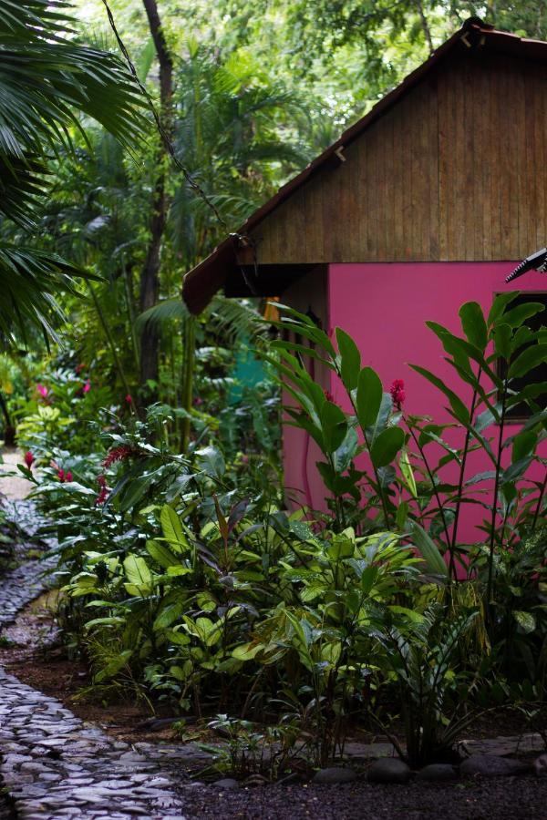 Casa Colores مونتيزوما المظهر الخارجي الصورة
