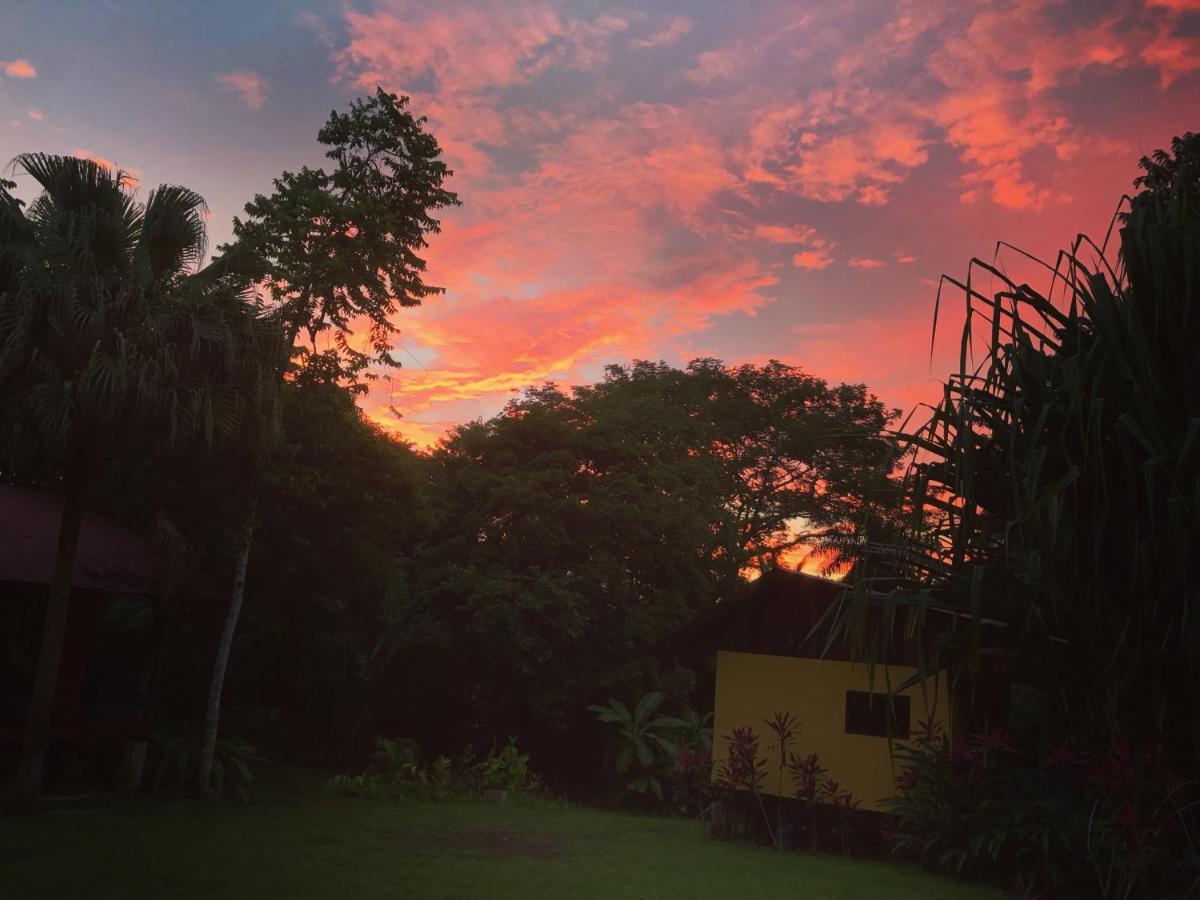 Casa Colores مونتيزوما المظهر الخارجي الصورة